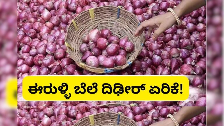ಜನಸಾಮಾನ್ಯರಿಗೆ ಬಿಗ್ ಶಾಕ್! ಹೆಚ್ಚಾಯ್ತು ಈರುಳ್ಳಿ ಬೆಲೆ, ಆದರೆ ರೈತರಿಗೆ ನಿರಾಸೆ! – News18 ಕನ್ನಡ