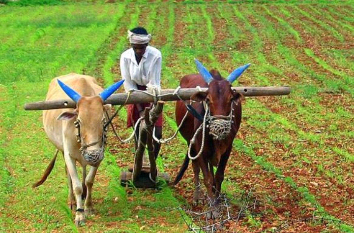 ರೈತರಿಗೆ ಸಹಾಯಧನ ಪಡೆಯಲು ಅರ್ಜಿ ಆಹ್ವಾನ