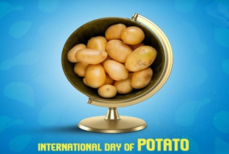 ಅಂತರರಾಷ್ಟ್ರೀಯ ಆಲೂಗಡ್ಡೆ ದಿನ: