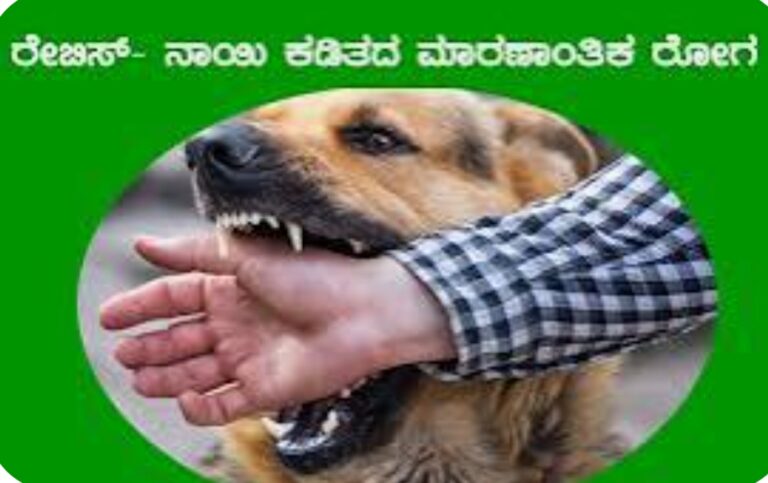 ಜುಲೈ 7 ರಿಂದ ಸಾಕು ನಾಯಿ, ಬೆಕ್ಕುಗಳಿಗೆ ಉಚಿತ ರೇಬಿಸ್ ಲಸಿಕಾ ಕಾರ್ಯಕ್ರಮ
