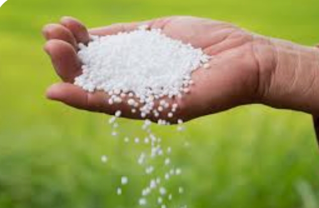 ಪ್ರವಾಸೋದ್ಯಮ ಇಲಾಖೆಯಿಂದ ತರಬೇತಿಗೆ ಅರ್ಜಿ ಆಹ್ವಾನ