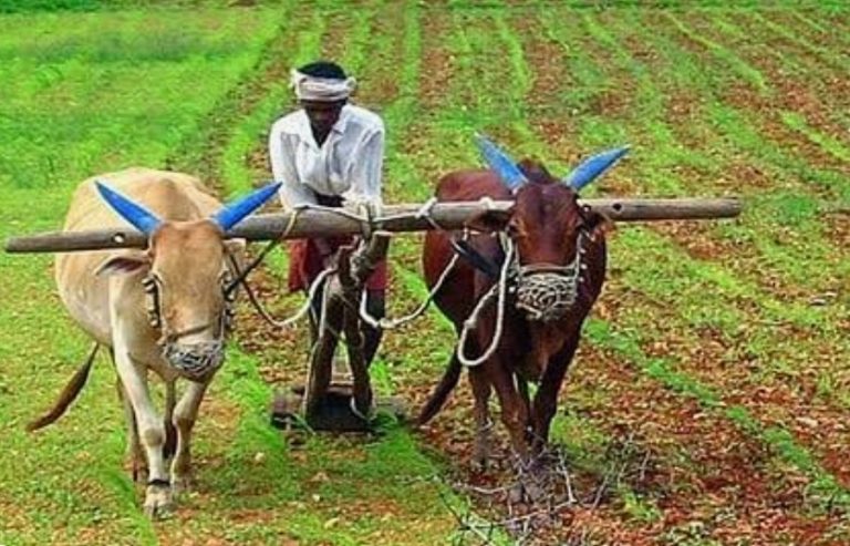 ಬೀದರ ಜಿಲ್ಲೆಯ ರೈತ ಬಾಂಧವರಿಗೆ ತಾಂತ್ರಿಕ ಮಾಹಿತಿ ಕ್ರಮ ವಹಿಸಲು ಸಲಹೆ