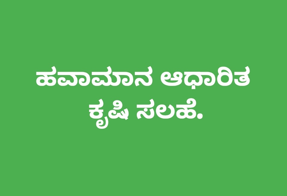 ಬೀದರ್: ಹವಾಮಾನ ಆಧಾರಿತ ಕೃಷಿ ಸಲಹೆ.